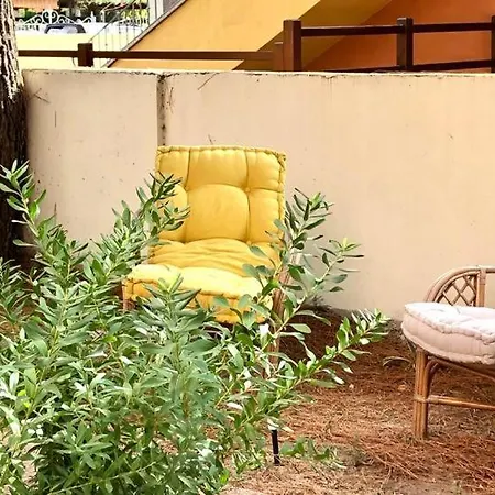Welcomely - Il Giardino Delle Tartarughe B *