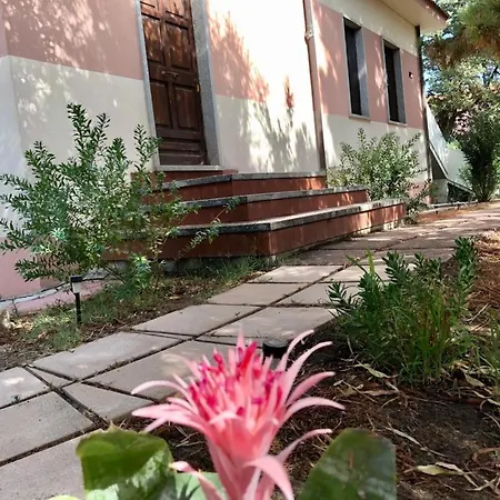 Welcomely - Il Giardino Delle Tartarughe B