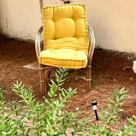 Welcomely - Il Giardino Delle Tartarughe B *